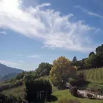 Holiday home Elegant In With Swimming Pool Set In Nature Collazzone